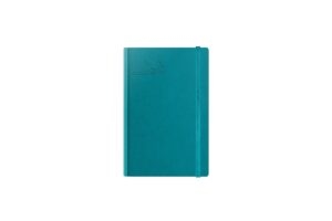 AGENDA DATATA RO A5, 352 PAGINI, COPERTA DIN PIELE SINTETICA, PREMIUM DELUXE LORETO, CULOARE TURCOAZ, MARGINI TIPARITE `GHOST` 2026
